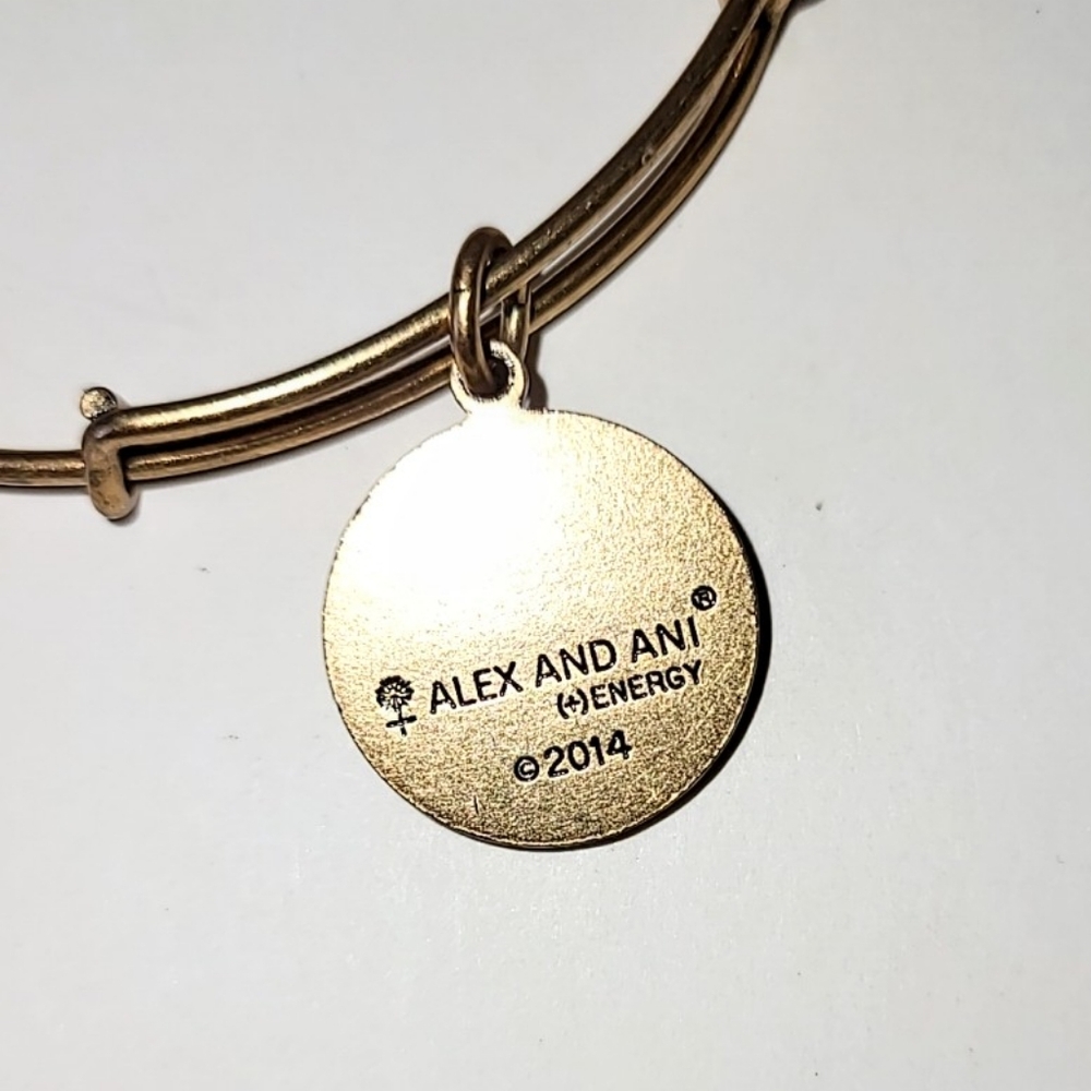 ALEX AND ANI NYC BIG APPLE CHARM BANGLE BRACELET - NEW YORK CITY - Picture 4 of 6